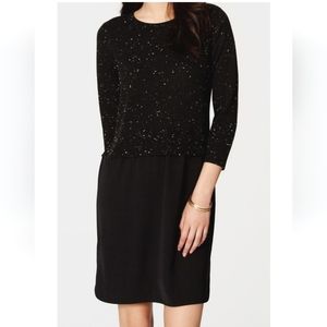 Ann Taylor LOFT speckled sweater + dress